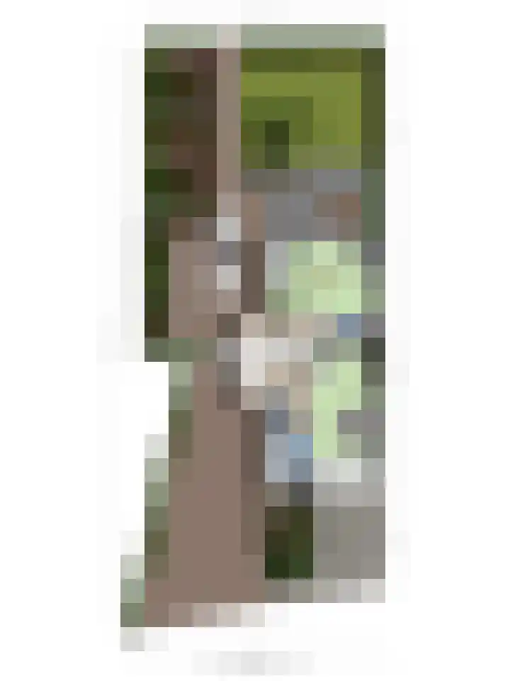 Waalzicht 6 Ochten thumbnail 67