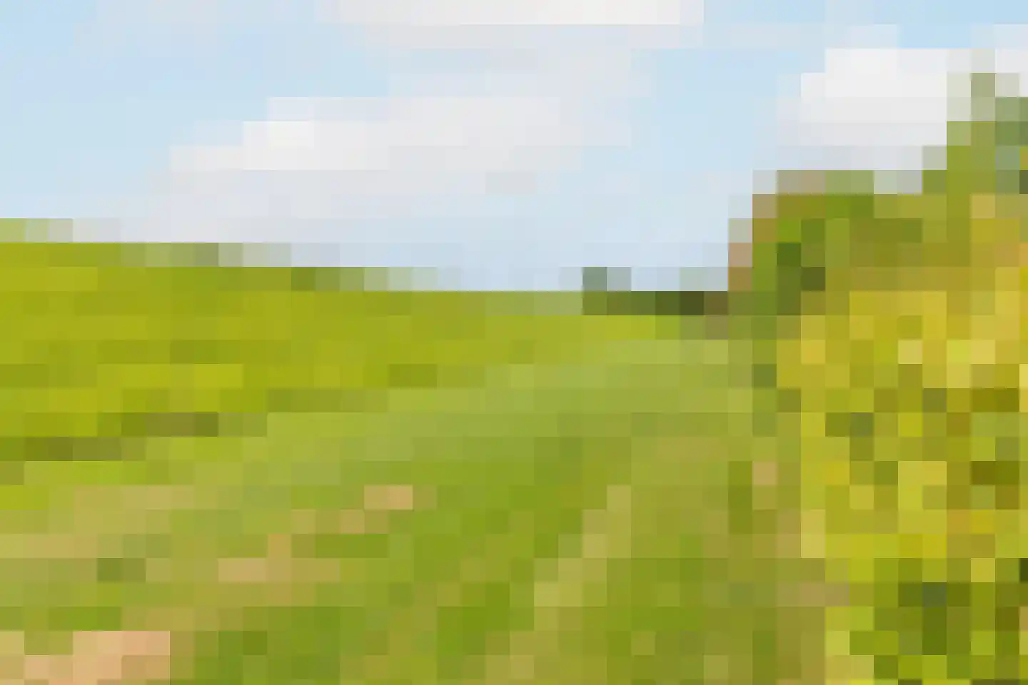 Waalzicht 6 Ochten thumbnail 67