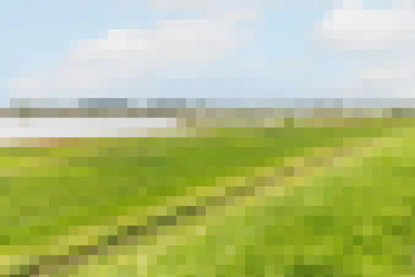 Waalzicht 6 Ochten thumbnail 68