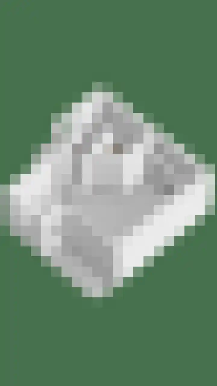 Waalzicht 6 Ochten thumbnail 69