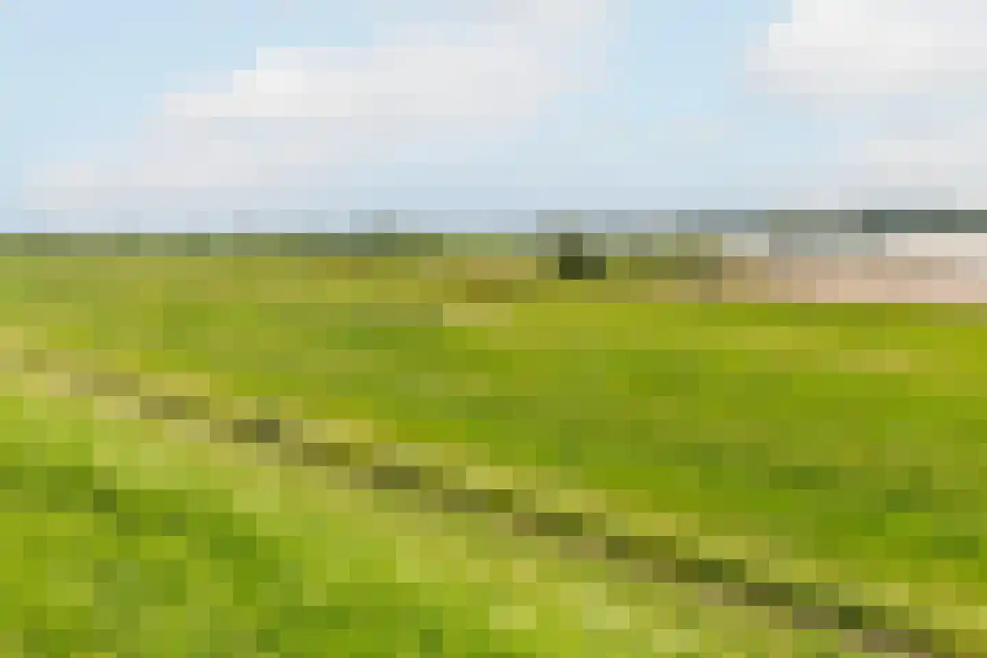 Waalzicht 6 Ochten thumbnail 69