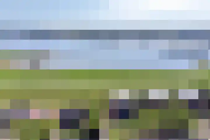 Waalzicht 6 Ochten thumbnail 7
