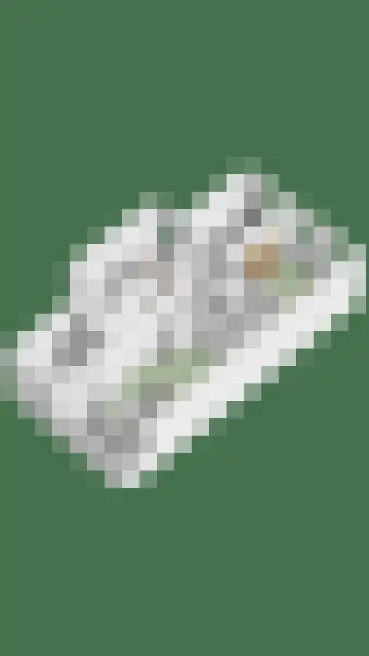 Waalzicht 6 Ochten thumbnail 70