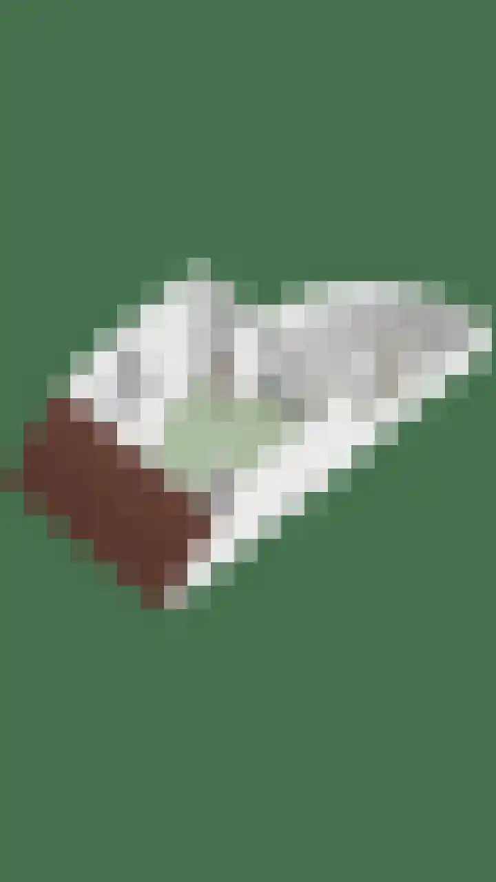 Waalzicht 6 Ochten thumbnail 72