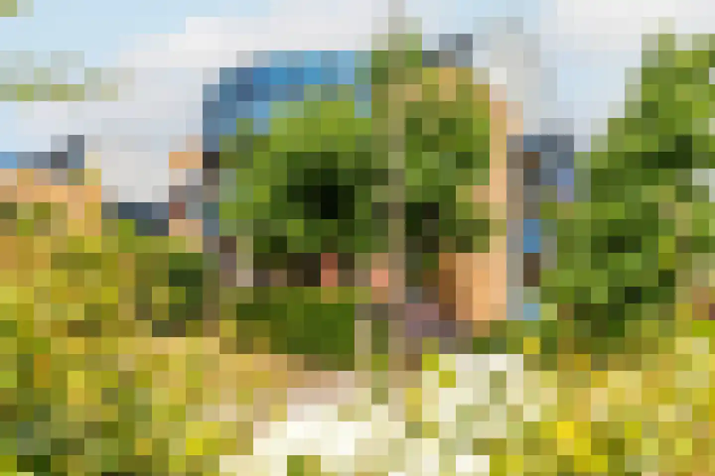 Waalzicht 6 Ochten thumbnail 76
