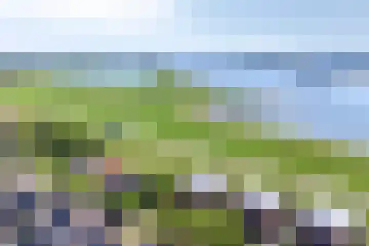 Waalzicht 6 Ochten thumbnail 8