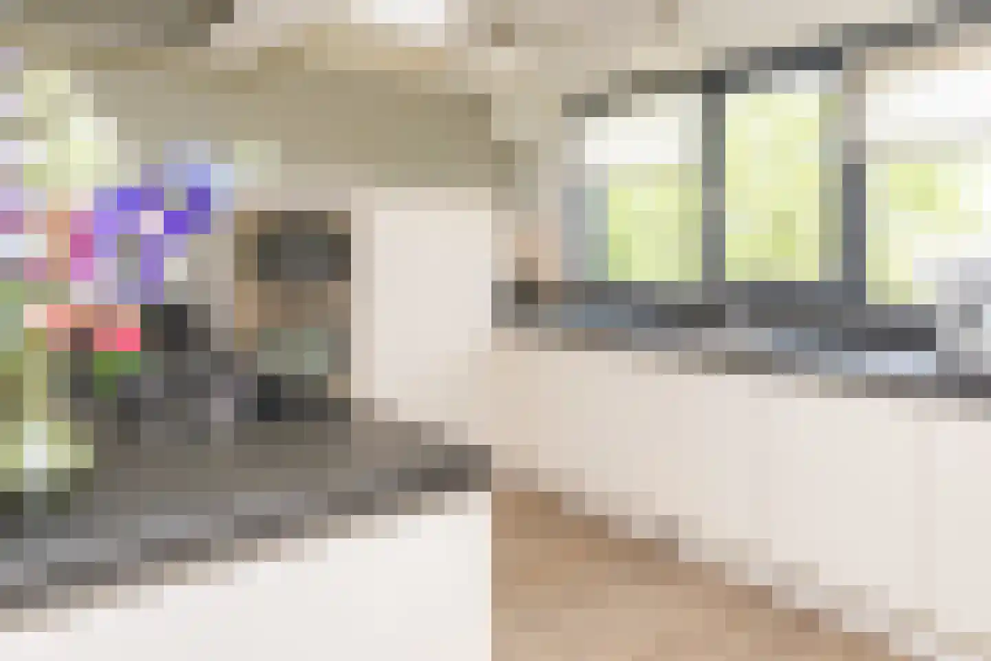 Waalzicht 6 Ochten thumbnail 92