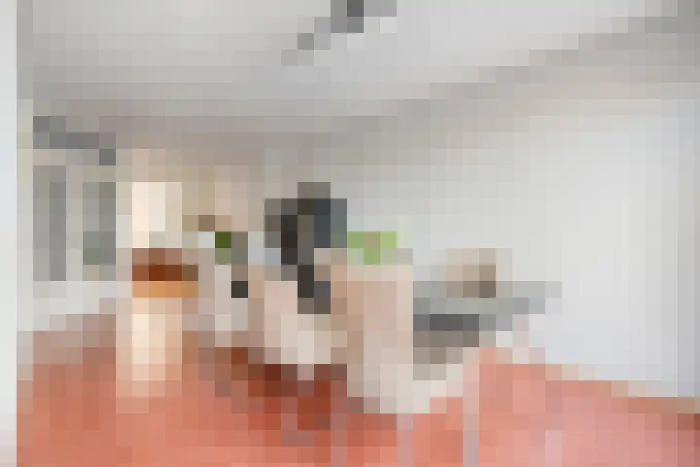 Waanderskamp 13 Dalfsen thumbnail 15