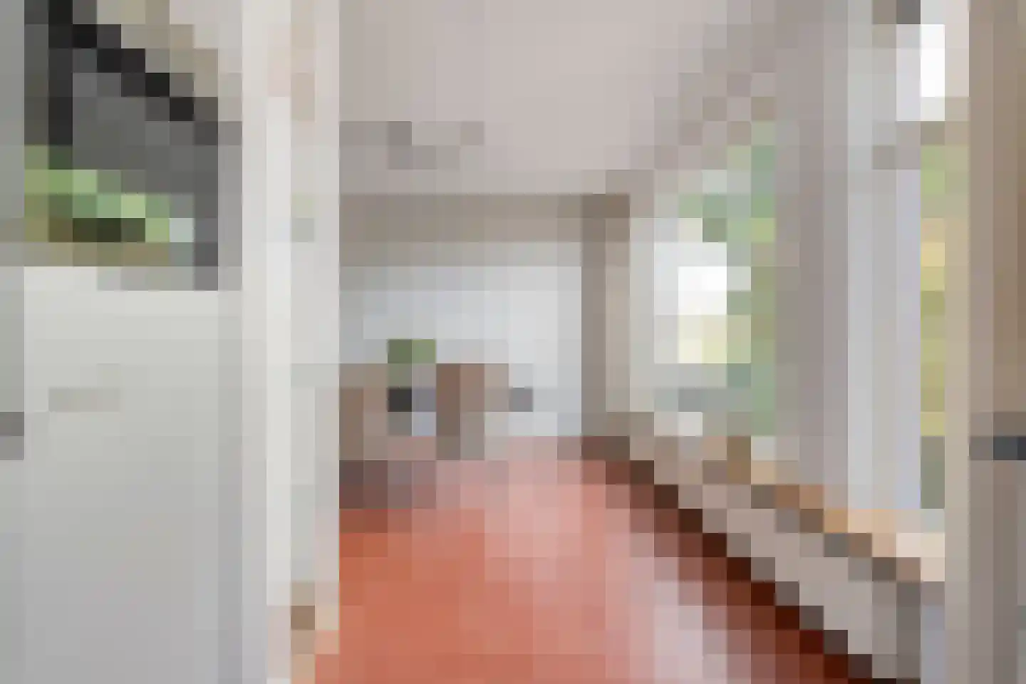 Waanderskamp 13 Dalfsen thumbnail 20