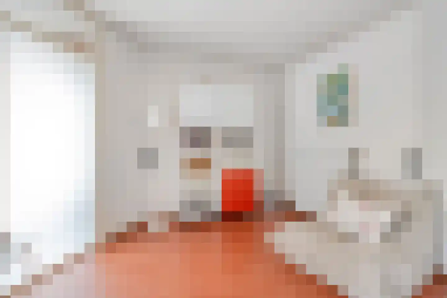 Waanderskamp 13 Dalfsen thumbnail 23