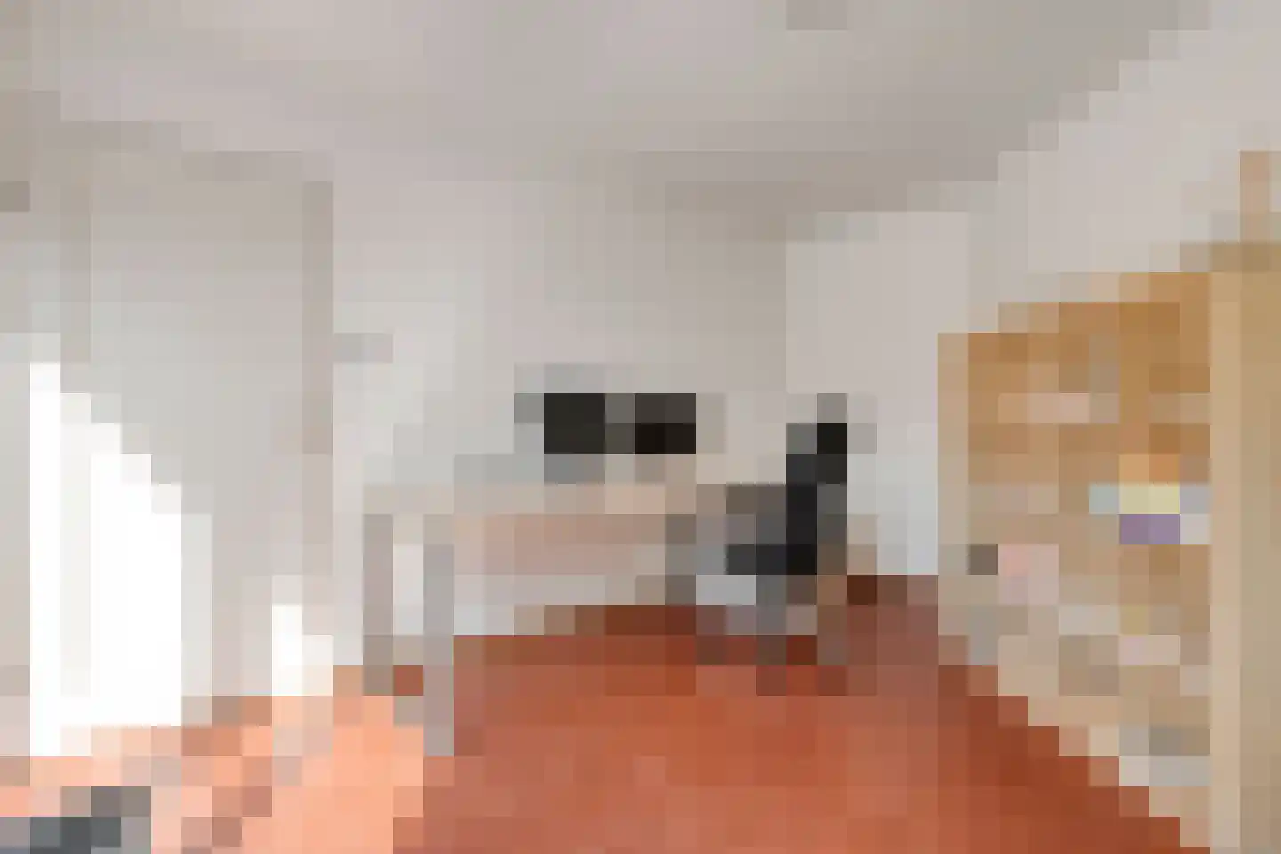 Waanderskamp 13 Dalfsen thumbnail 25