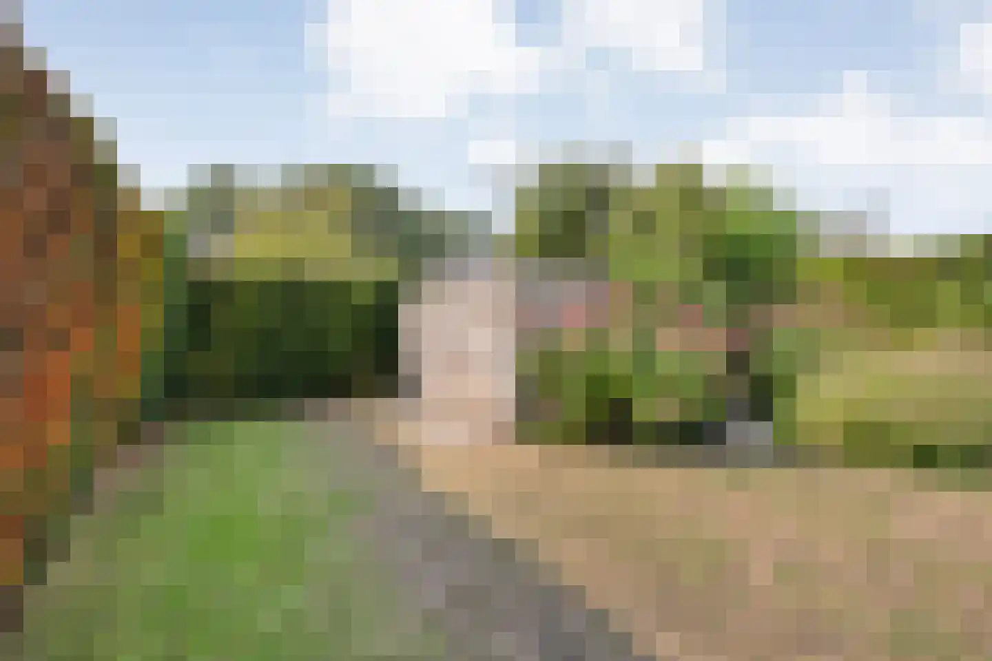 Waanderskamp 13 Dalfsen thumbnail 31
