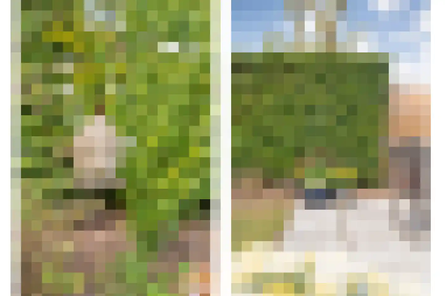 Waanderskamp 13 Dalfsen thumbnail 32