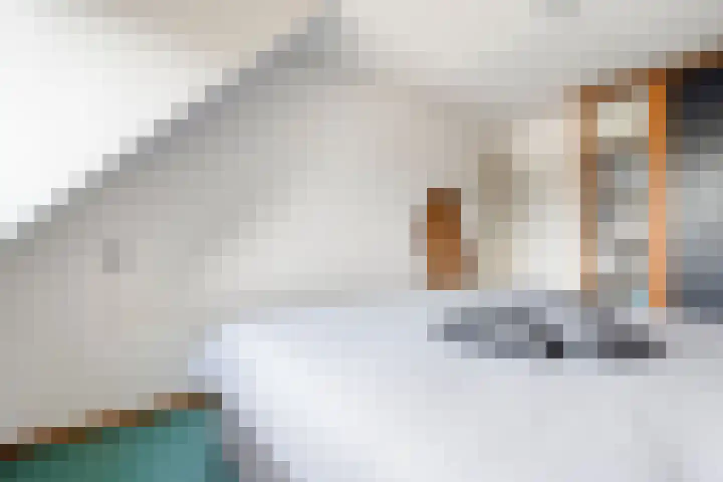 Waanderskamp 13 Dalfsen thumbnail 38
