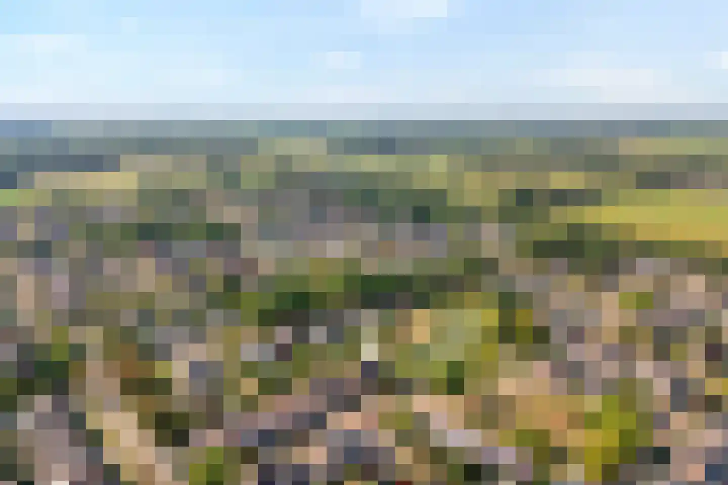 Waanderskamp 13 Dalfsen thumbnail 4