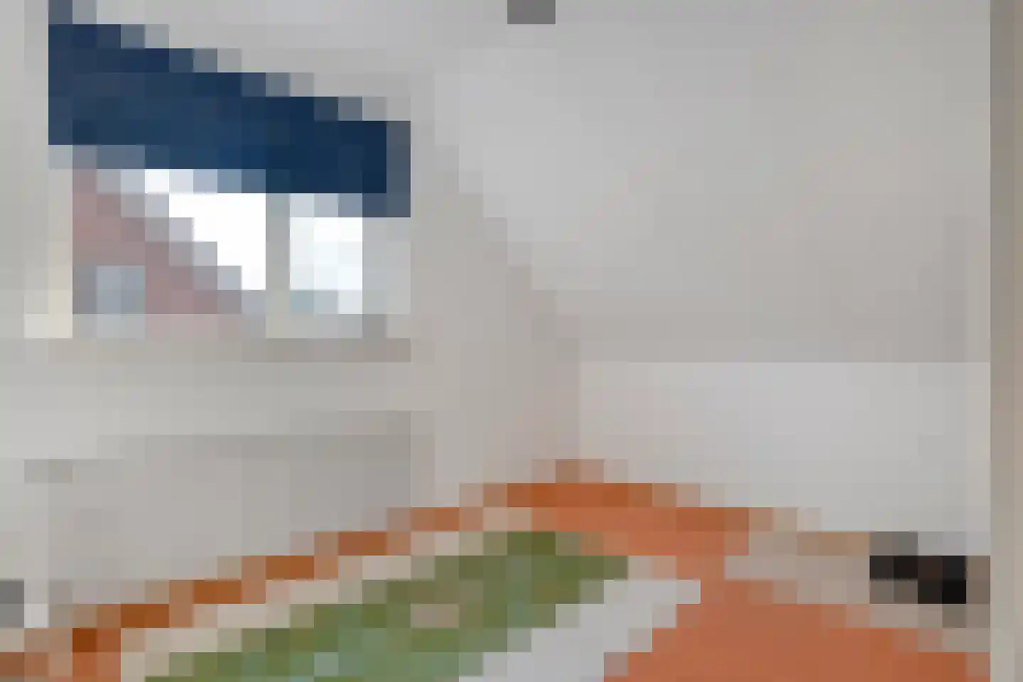 Waanderskamp 13 Dalfsen thumbnail 40