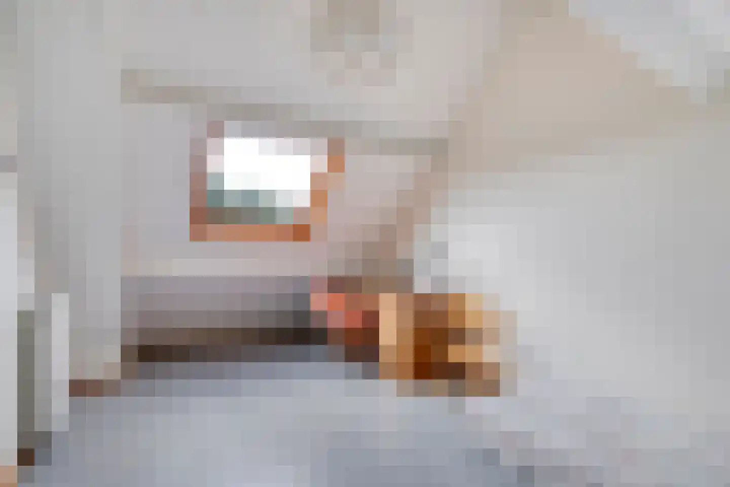 Waanderskamp 13 Dalfsen thumbnail 47