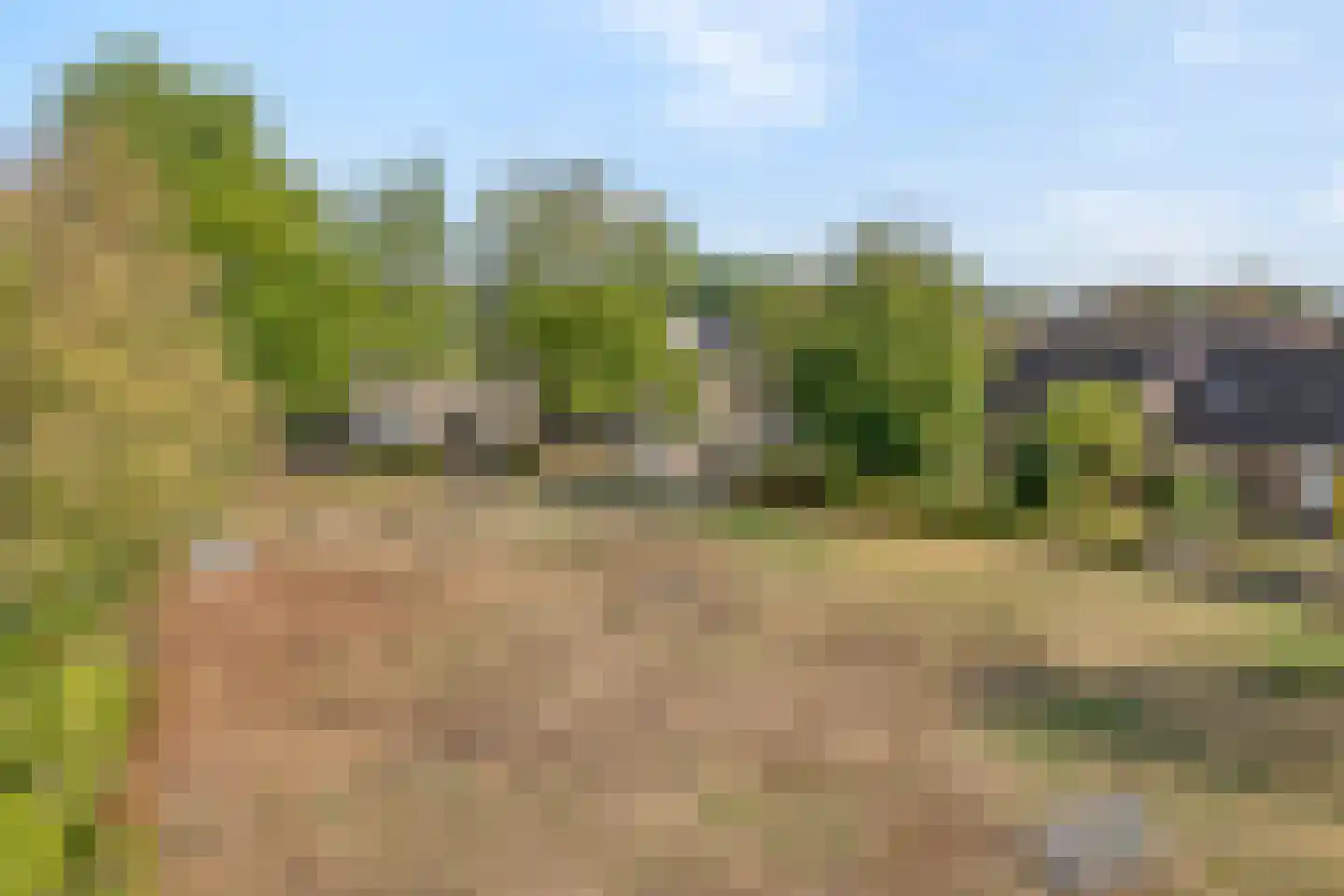 Waanderskamp 13 Dalfsen thumbnail 53