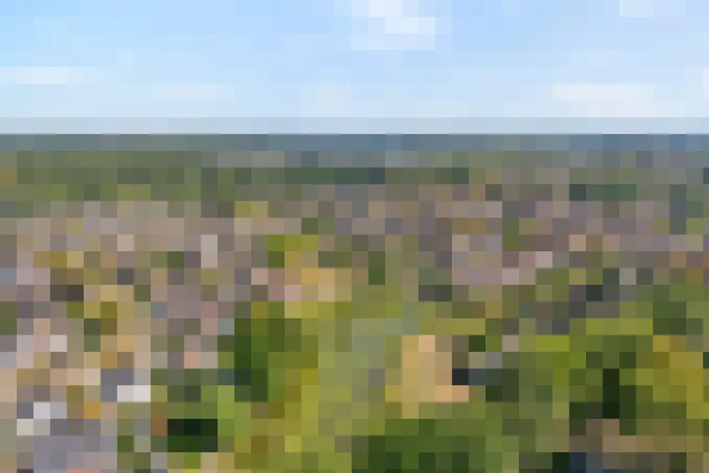 Waanderskamp 13 Dalfsen thumbnail 54