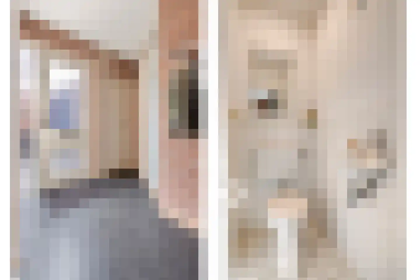 Waanderskamp 13 Dalfsen thumbnail 8