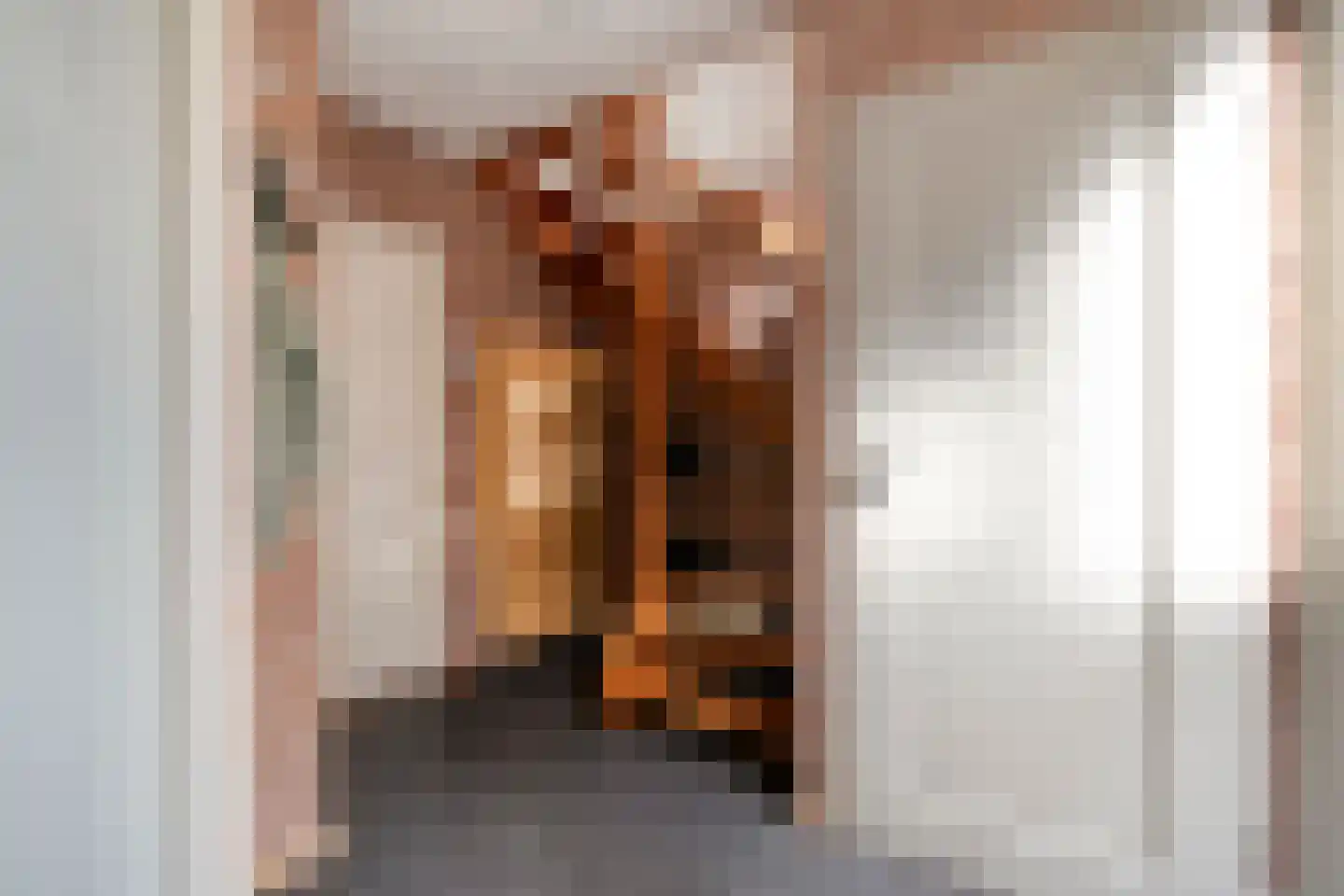 Waanderskamp 13 Dalfsen thumbnail 9