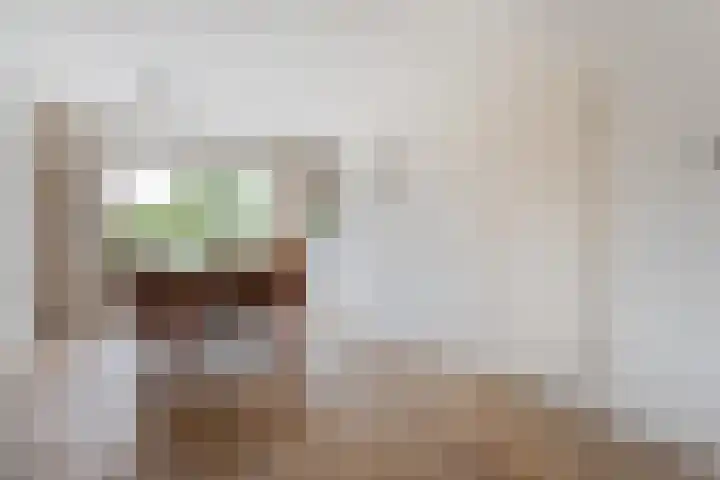 Waanderskamp 7 Dalfsen thumbnail 14