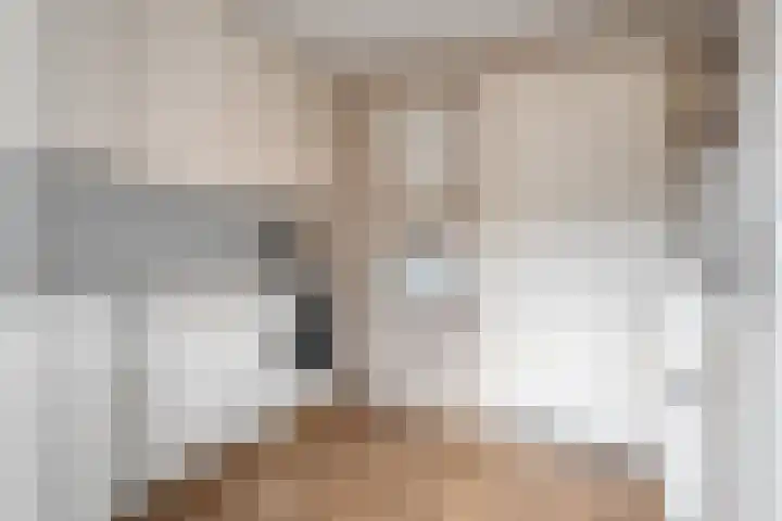 Waanderskamp 7 Dalfsen thumbnail 20