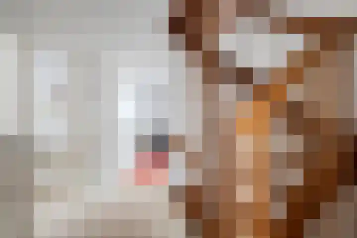 Waanderskamp 7 Dalfsen thumbnail 21