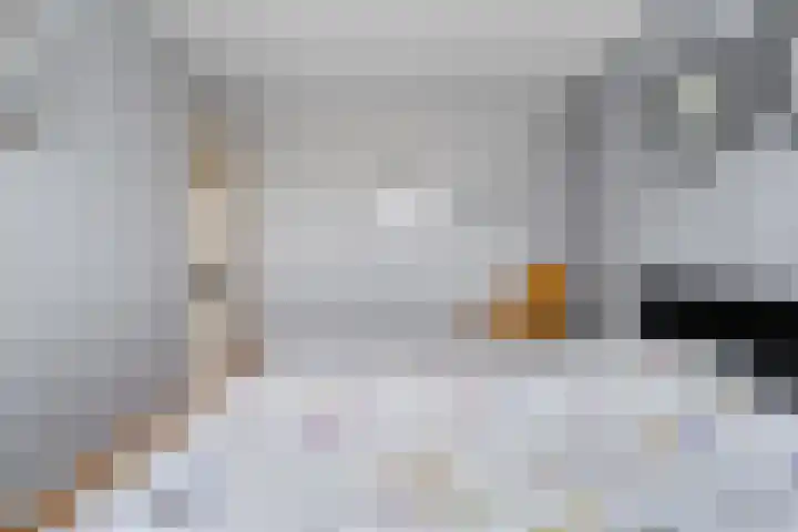 Waanderskamp 7 Dalfsen thumbnail 23