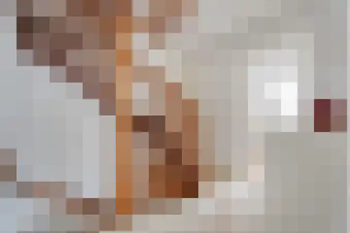 Waanderskamp 7 Dalfsen thumbnail 26