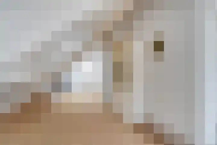 Waanderskamp 7 Dalfsen thumbnail 28