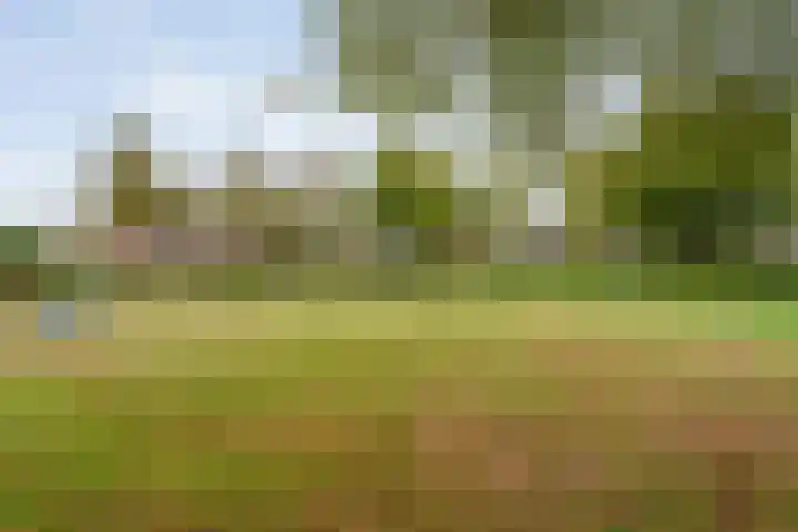 Waanderskamp 7 Dalfsen foto 3