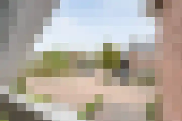 Waanderskamp 7 Dalfsen thumbnail 30