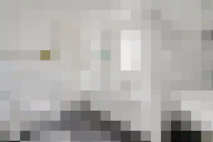 Waanderskamp 7 Dalfsen thumbnail 31
