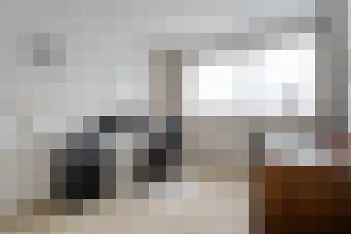 Waanderskamp 7 Dalfsen thumbnail 33