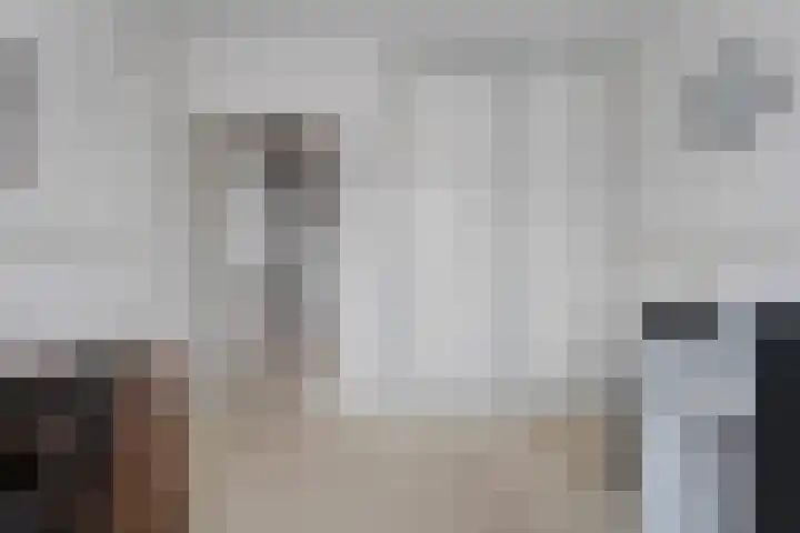 Waanderskamp 7 Dalfsen thumbnail 34