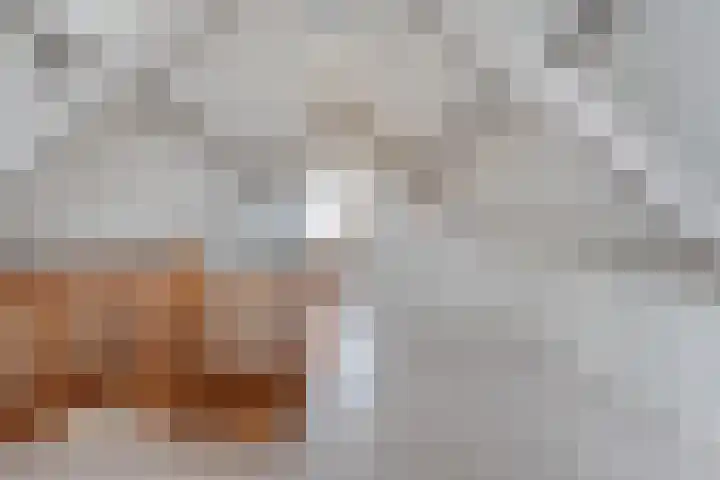 Waanderskamp 7 Dalfsen thumbnail 36
