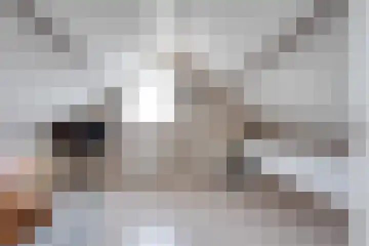 Waanderskamp 7 Dalfsen thumbnail 37