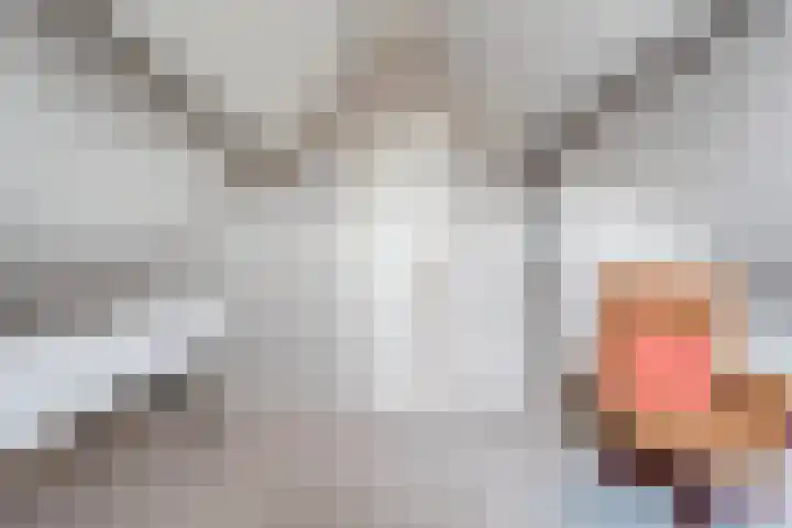 Waanderskamp 7 Dalfsen thumbnail 38