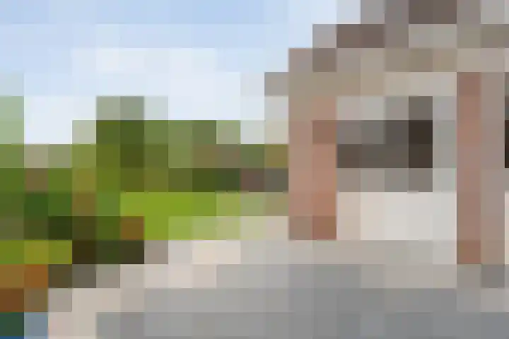 Waanderskamp 7 Dalfsen thumbnail 39