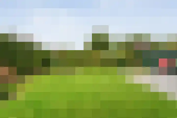 Waanderskamp 7 Dalfsen thumbnail 41