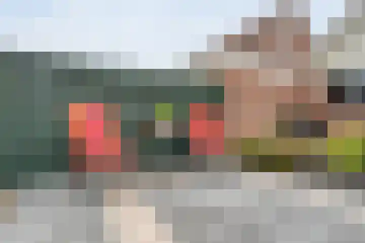 Waanderskamp 7 Dalfsen thumbnail 43