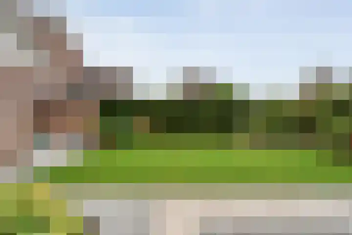Waanderskamp 7 Dalfsen thumbnail 44