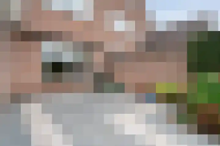 Waanderskamp 7 Dalfsen thumbnail 45
