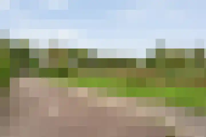 Waanderskamp 7 Dalfsen thumbnail 46