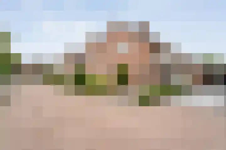 Waanderskamp 7 Dalfsen thumbnail 47