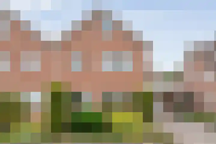 Waanderskamp 7 Dalfsen thumbnail 48