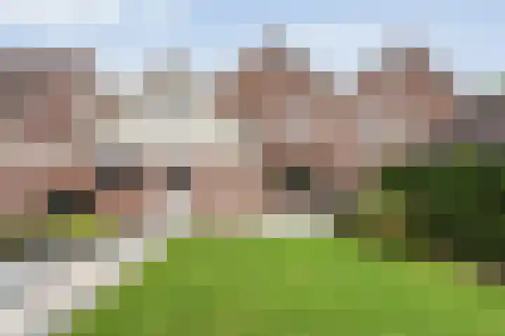 Waanderskamp 7 Dalfsen thumbnail 5