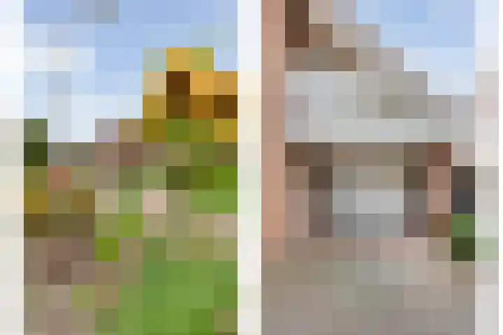 Waanderskamp 7 Dalfsen thumbnail 6