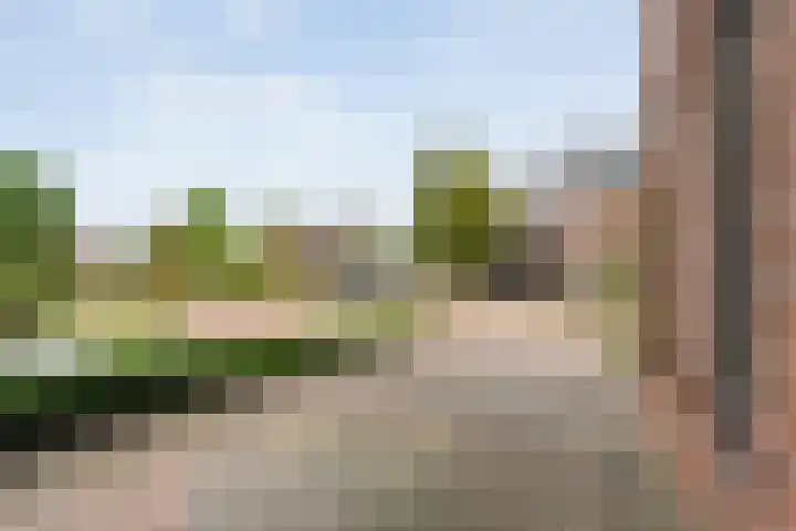 Waanderskamp 7 Dalfsen thumbnail 7